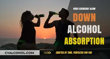 Exercise and Alcohol: How Physical Activity Affects Absorption Rates