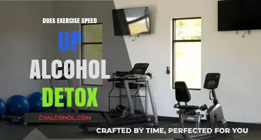 Exercise and Alcohol Detox: Can Physical Activity Accelerate Recovery?