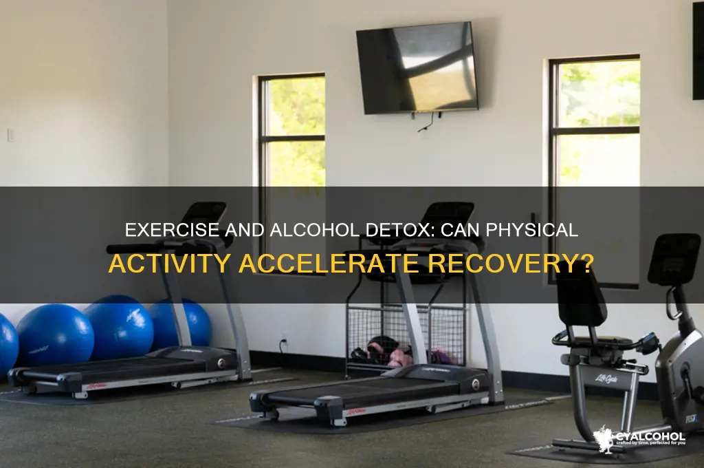does exercise speed up alcohol detox