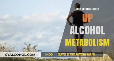 Can Exercise Accelerate Alcohol Metabolism? Unveiling the Science Behind It