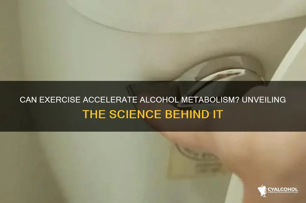 does exercise speed up alcohol metabolism