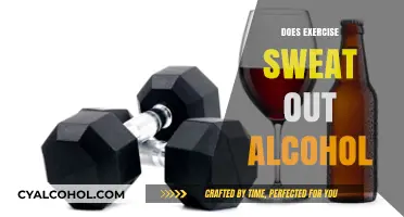 Sweat and Sobriety: Does Exercise Help Eliminate Alcohol?
