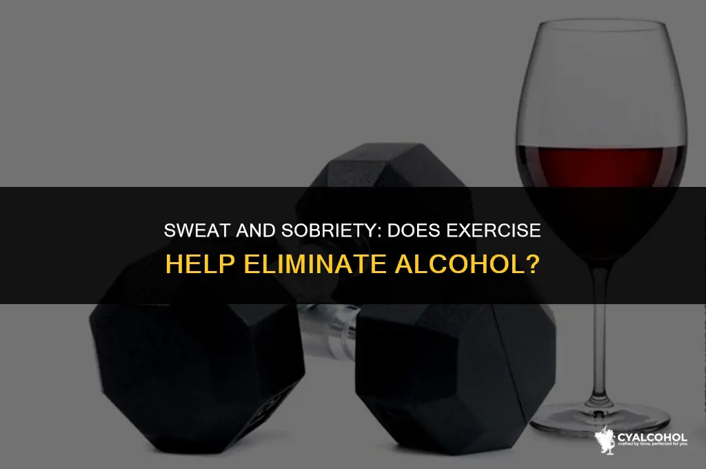 does exercise sweat out alcohol