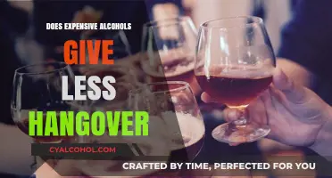 Expensive Alcohol: Does Higher Price Mean Less Hangover?