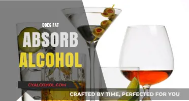 Does Fat Absorb Alcohol? The Surprising Truth Behind Metabolism