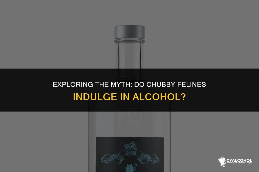 does fat cats have alcohol