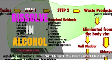 Exploring Solubility: Does Fat Dissolve in Alcohol?