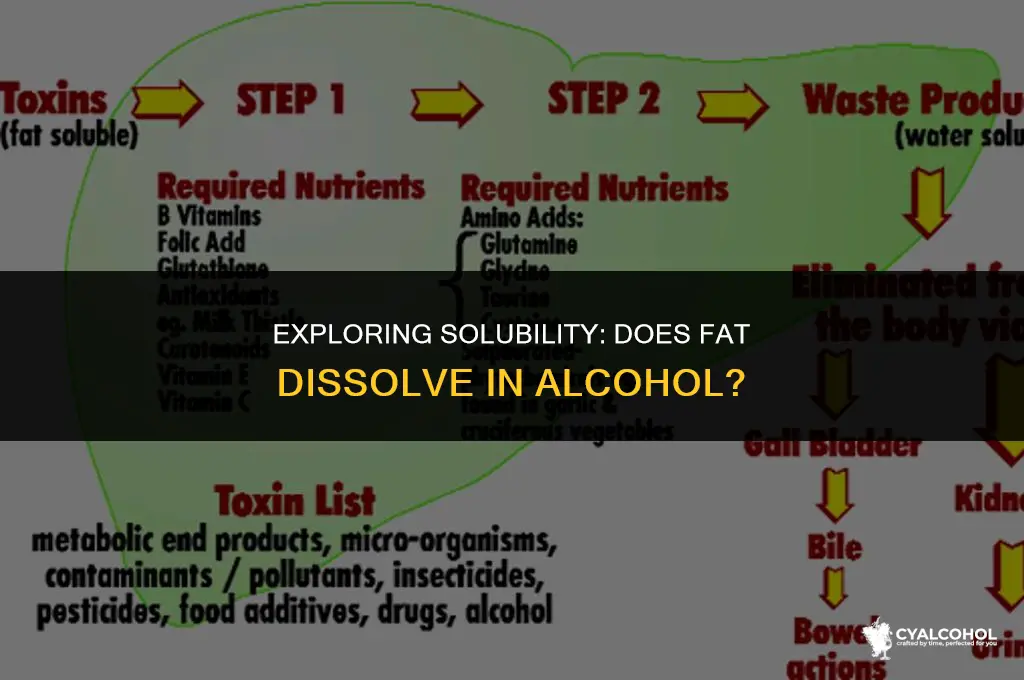 does fat dissolve in alcohol