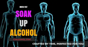 Exploring the Myth: Does Fat Really Absorb Alcohol?