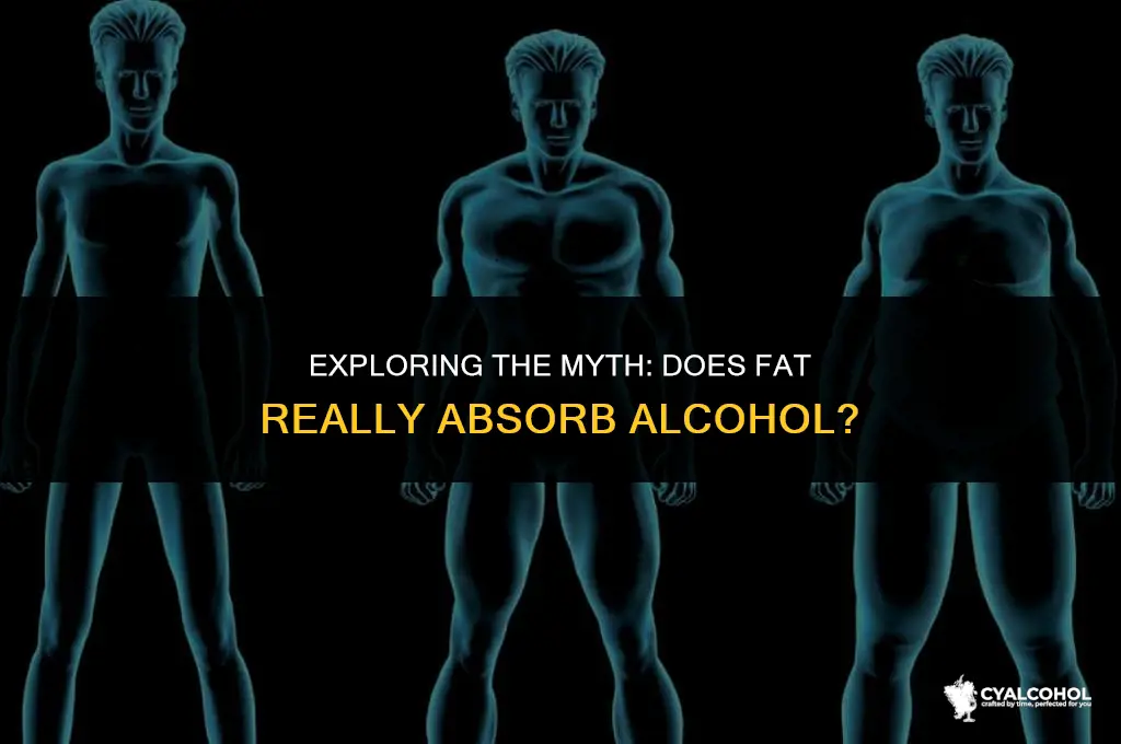 does fat soak up alcohol
