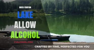 Exploring Fenton Lake: A Guide to Alcohol Policies and Lakeside Fun