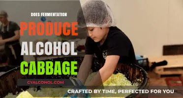Fermentation and Alcohol Production in Cabbage: A Comprehensive Guide
