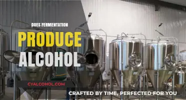 Fermentation and Alcohol: Unveiling the Science Behind the Brewing Process