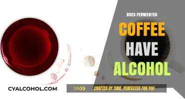 Exploring the Buzz: Does Fermented Coffee Contain Alcohol?