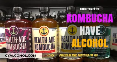 Unveiling the Truth: Alcohol Content in Fermented Kombucha