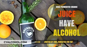 Fermented Orange Juice: Alcohol Content Explained and Health Implications
