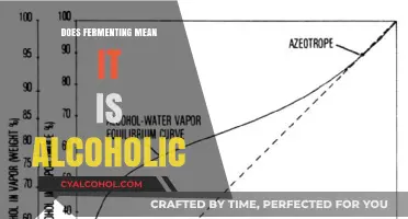 Fermentation and Alcohol: Understanding the Connection in Foods and Drinks
