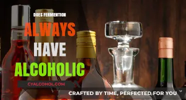 Exploring Fermentation: Does It Always Lead to Alcoholic Beverages?