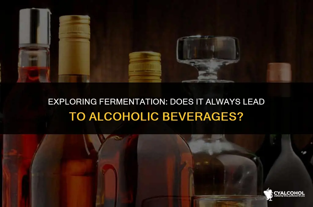 does fermention always have alcoholic