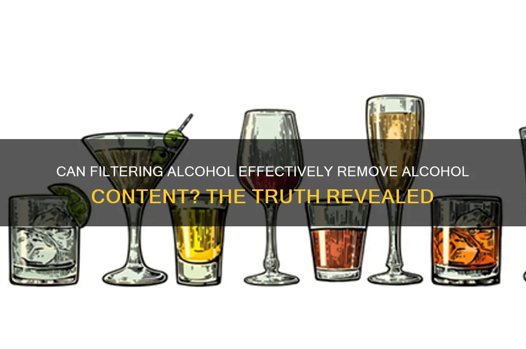 does filtering alcohol remove the alcohol