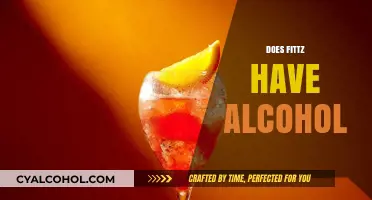 Does Fittz Contain Alcohol? Unraveling the Truth About Fittz Ingredients