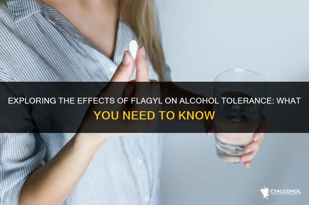 does flagyl lower alcohol tolerance