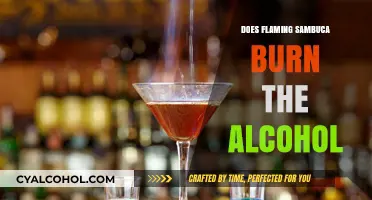 Does Flaming Sambuca Burn Off Alcohol? The Science Explained