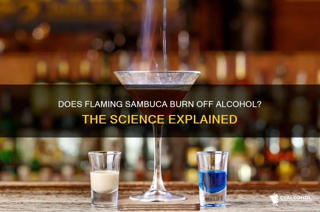 does flaming sambuca burn the alcohol