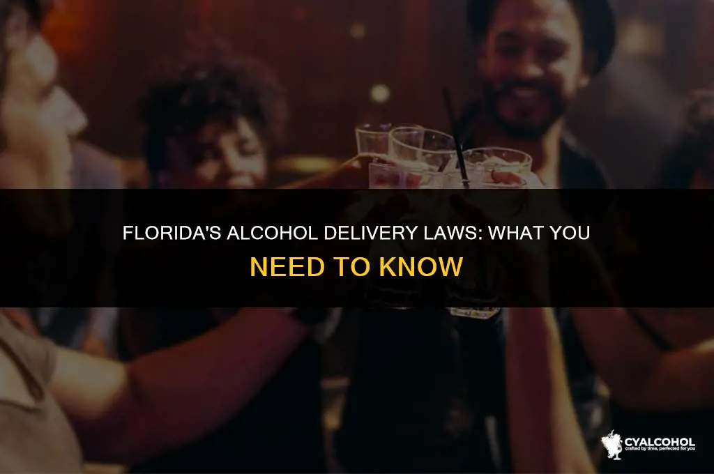 does florida allow alcohol delivery
