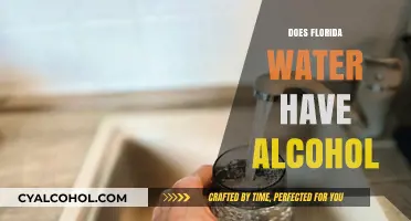 Unveiling the Truth: Alcohol Content in Florida's Tap Water
