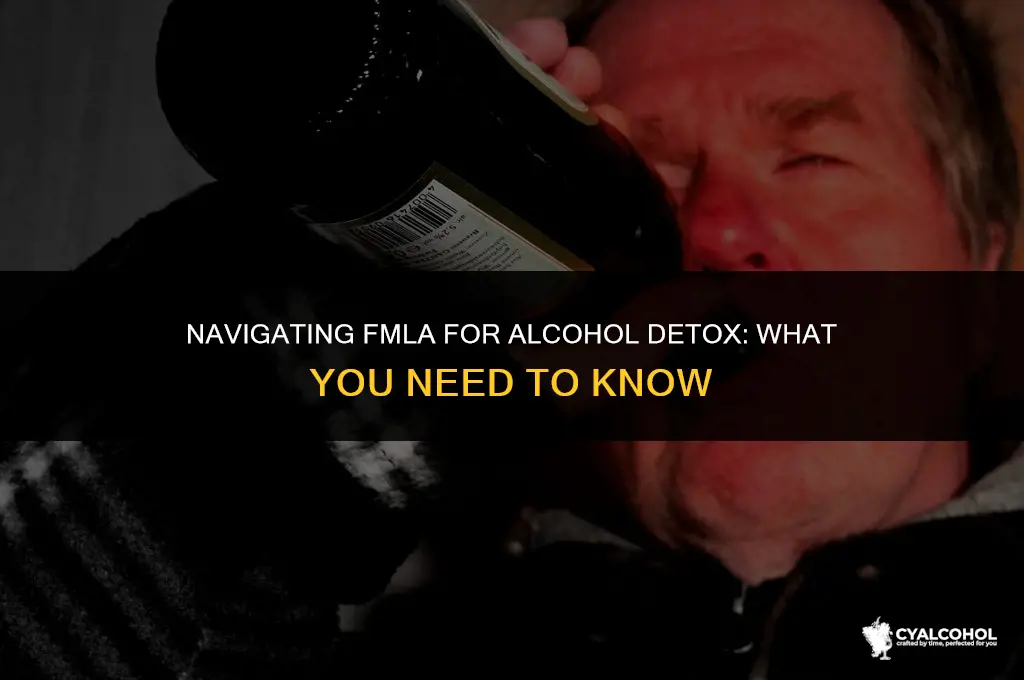 does fmla cover alcohol detox