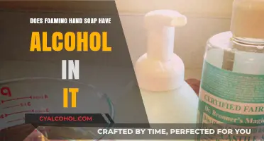 Does Foaming Hand Soap Contain Alcohol? Ingredients Explained