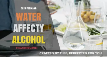 How Food and Water Influence Alcohol Absorption and Effects