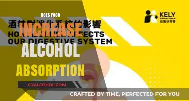 Exploring the Effects of Food on Alcohol Absorption: A Comprehensive Guide