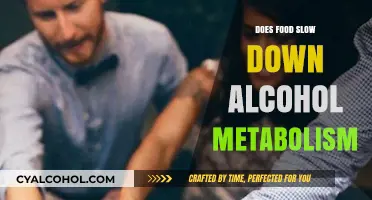 Does Eating Slow Alcohol Metabolism? Facts and Myths Explained