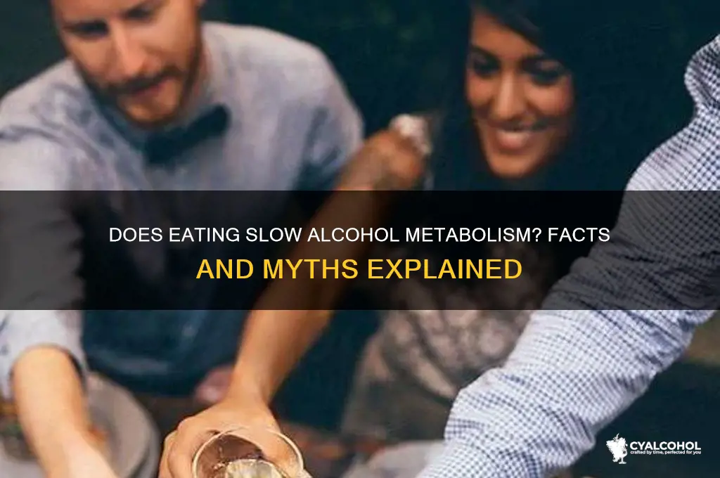 does food slow down alcohol metabolism
