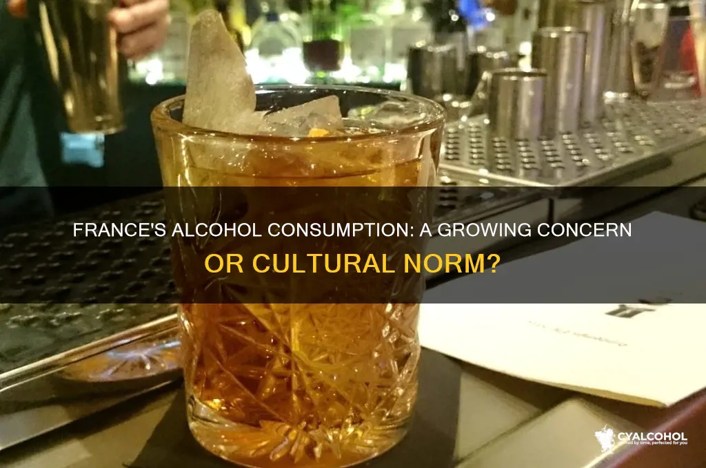 does france have an alcohol problem