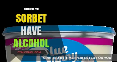 Chill Without the Buzz: Exploring Alcohol-Free Frozen Sorbet Options