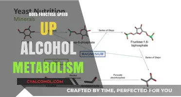 Fructose's Impact on Alcohol Metabolism: Does It Speed Up the Process?