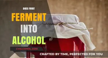 The Natural Alchemy: How Fruits Transform into Alcohol