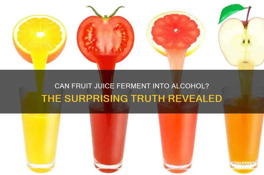 does fruit juice turn into alcohol