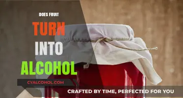 The Fermentation Process: How Fruit Transforms into Alcohol
