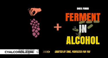 Exploring the Fermentation Process: Fungi's Role in Alcohol Production
