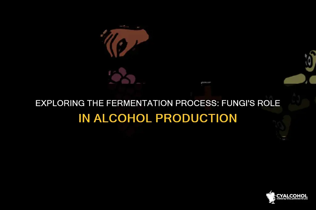 does fungi ferment in alcohol