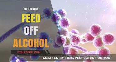 Unraveling the Mysteries: How Fungi Interact with Alcohol