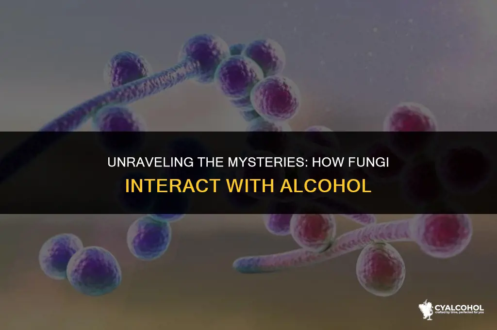 does fungus feed off alcohol