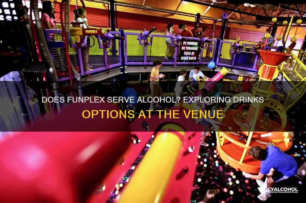 Does Funplex Serve Alcohol? Exploring Drinks Options At The Venue ...