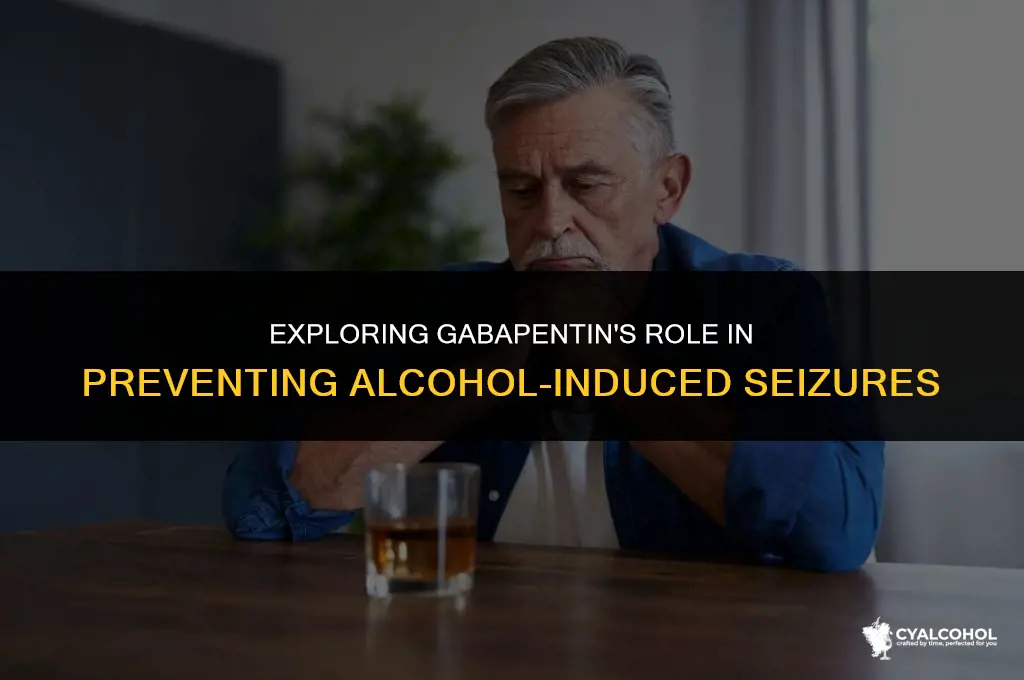 does gabapentin prevent alcohol seizures
