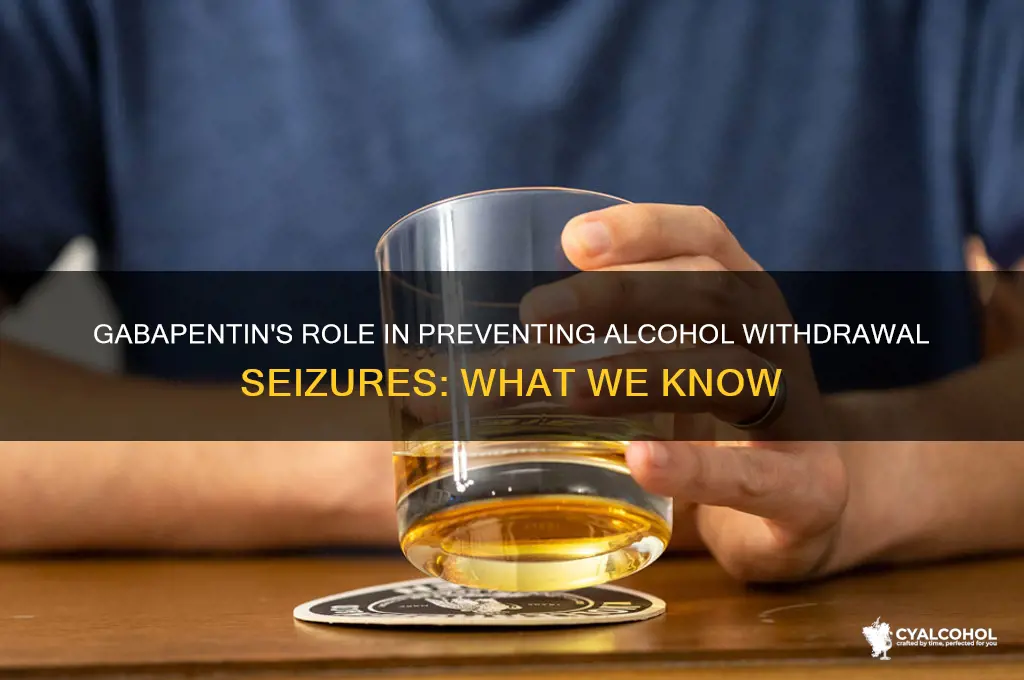 does gabapentin prevent alcohol withdrawal seizures