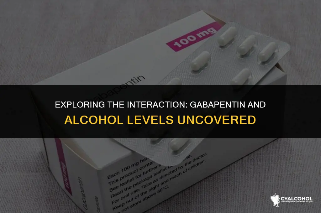 does gabapentin raise alcohol levels